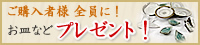 もれなくついてくる！ご購入者プレゼント